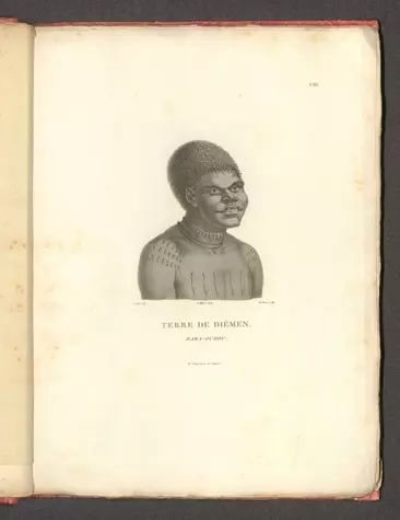 Terre de Diémen : Bara-Ourou.;Péron, François, 1775-1810; Petit, N.; Aubert, L.; Milbert, Jacques Gérard, 1766-1840;1811;14352.045